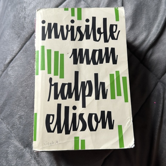 AP Lit books for student bundle - Picture 4 of 4